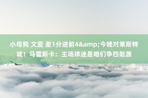 小母狗 文爱 差1分进前4&今晚对莱斯特城！马雷斯卡：主场球迷是咱们争四能源